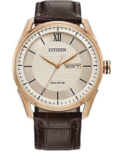 Citizen Eco-drive Classic Watch In Gold-tone Stainless Steel And Brown Leather Strap - Metallic
