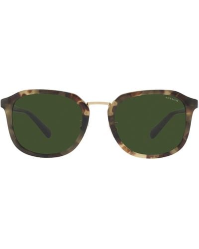 COACH Hc8366 Sunglasses - Green