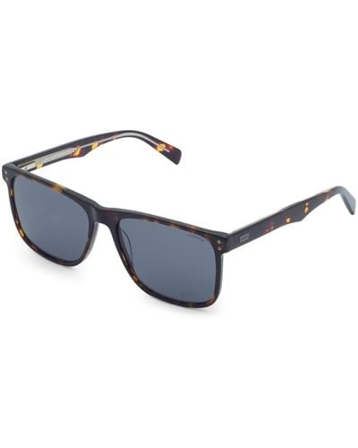 Levi's Mens Lv 5004/s Sunglasses - Blue