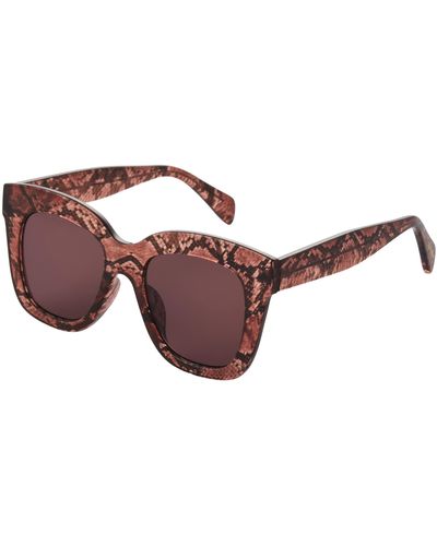 Steve Madden S Party Animal Sunglasses - Brown