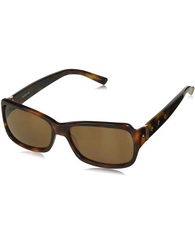 Norma Kamali Nk7564 Sunglasses - Brown