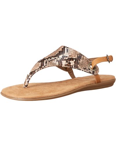 Aerosoles S In Conchlusion Flat Sandal Natural Snake 10.5 - Multicolor