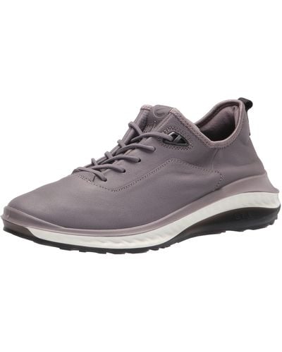 ecco trainers uk