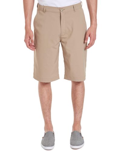izod dri fit shorts