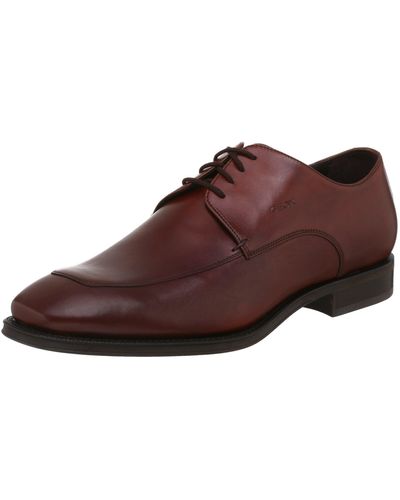 Geox New Trend Oxford,brown,44 - Multicolor