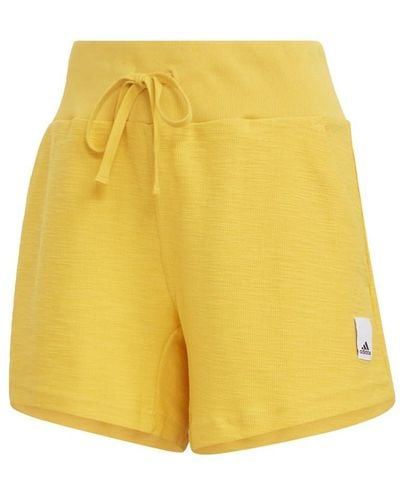 adidas Lounge Terry Loop Shorts - Yellow