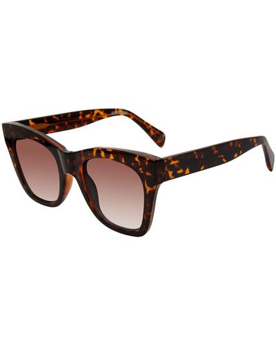 Steve madden deals sunglasses women