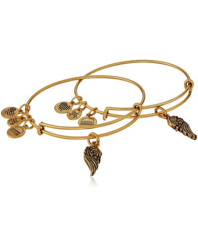 ALEX AND ANI "path Of Symbols" Wings Set Of 2 Gold Expandable Wire Bangle Charm Bracelet - Metallic