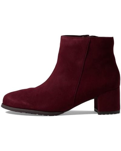 Naturalizer Bay Ankle Boot Cabernet Sauvignon Waterproof Suede 6 M - Red