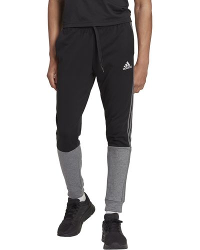 adidas Sweatpants for Men | Online Sale up to 59% off | Lyst
