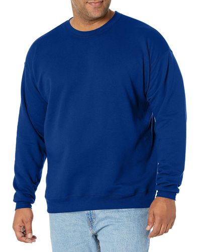 Hanes Ecosmart Sweatshirt - Blue