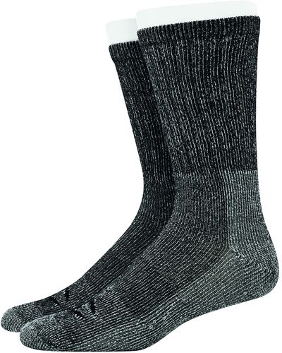 Champion Outdoor Double Dry 2-pair Pack Crew Socks - Green