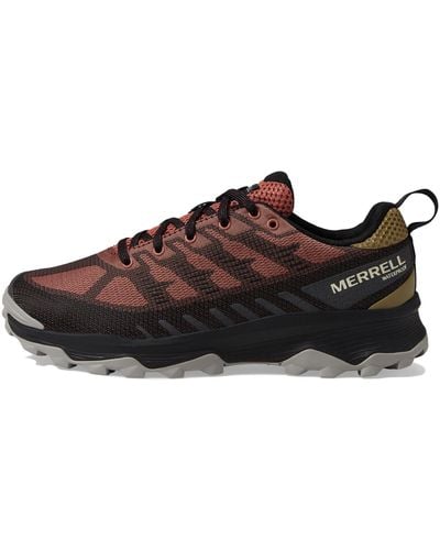 Merrell Speed Eco Wp-sedona/herb Low-top Trainers - Red