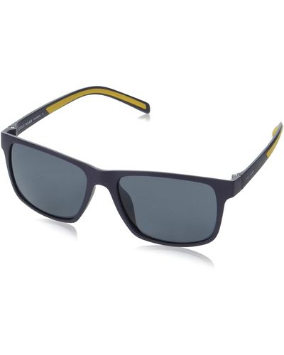 Cole Haan CH8020 Sunglasses - - SOLD OUT