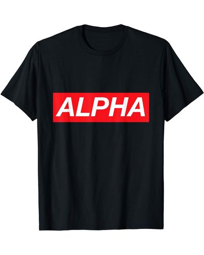 Alpha Industries Alpha T-shirt - Gray