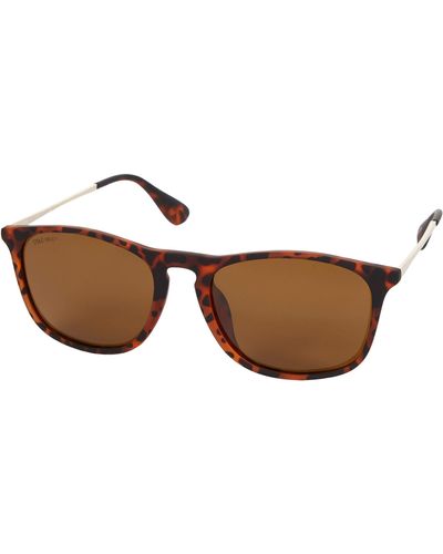 Cole Haan Ch8507 Polarized Square Sunglasses - Brown