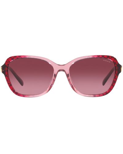 COACH Hc8349u Universal Fit Sunglasses - Pink