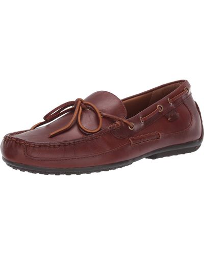 Polo Ralph Lauren Mens Roberts Driving Style Loafer - Multicolor