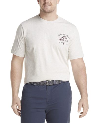 Izod Big & Tall Tall Saltwater Short Sleeve Graphic T-shirt - Gray