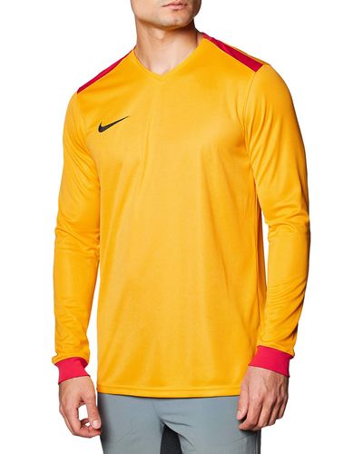 Nike M Nk Dry Prk Drby Ii Jsy Ls T-shirt Met Lange Mouwen - Metallic
