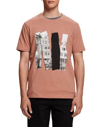 Esprit T-shirt Met Ronde Hals En Print - Meerkleurig