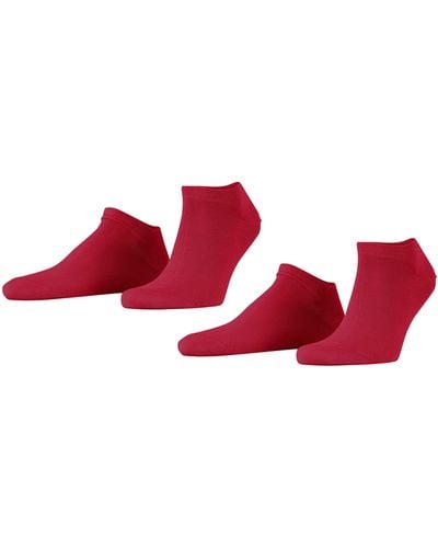Esprit Sneakersocken Basic Uni 2-Pack - Rot