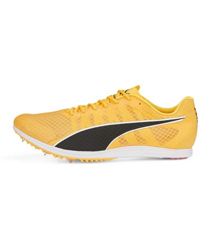 PUMA Leichtathletikschuhe Evospeed Distance 11 - Gelb