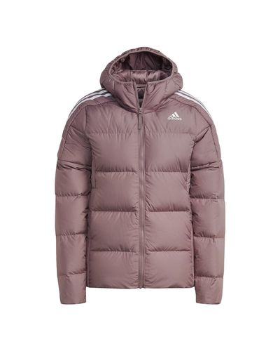 adidas Essentials Midweight Hooded Donsjack - Paars