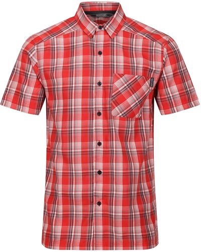 Regatta Mindano VII -Shirt - Rot