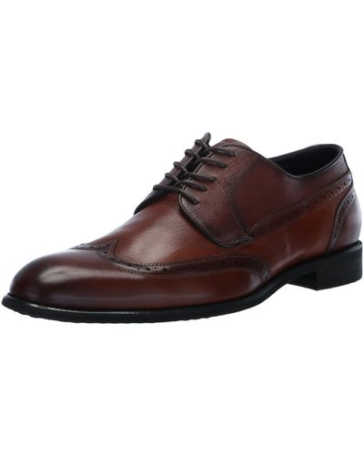 Steve Madden Aamari Oxford - Brown