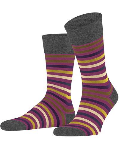 FALKE Socken Tinted Stripe - Mehrfarbig