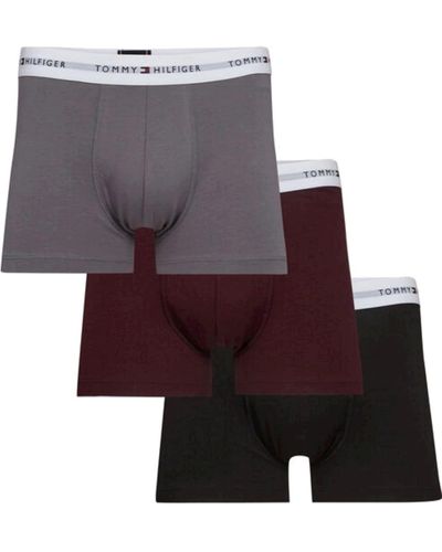 Tommy Hilfiger Boxer Short Trunks Underwear Pack Of 3 - Purple