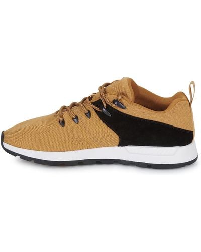 Timberland Sprint Trekker Low Knit COLOR WHEAT TAILLE 43 POUR HOMME - Neutre
