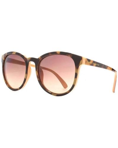 French Connection Womens Soft Preppy Sunglasses - Peach/brown - Multicolour