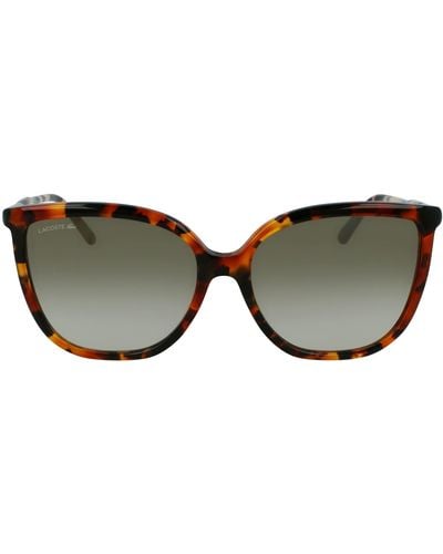 Lacoste L963s Butterfly Sunglasses - Black