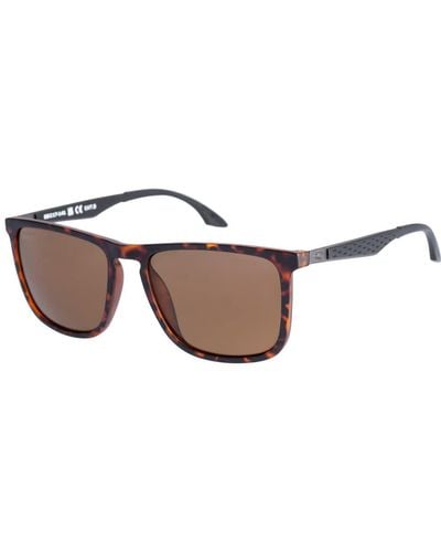 O'neill Sportswear Ons Ensenada2.0 Sunglasses 102p Matte Tort/gold/brown - Black