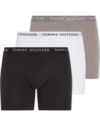 Tommy Hilfiger Multipack Trunks For - 3 Pack Underwear - Signature Waistband Elastic - Black/sublunar/white - Size