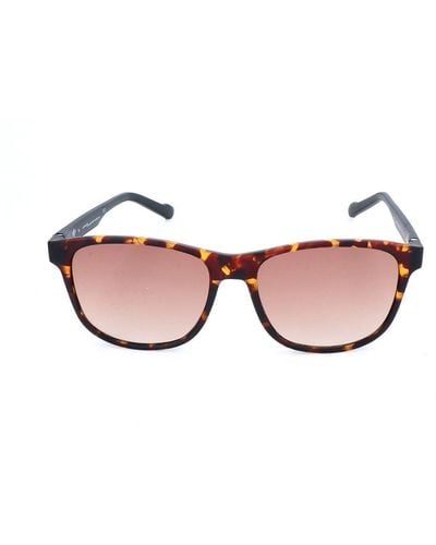 adidas Originals Aor031 092.009 54 New Sunglasses - Brown