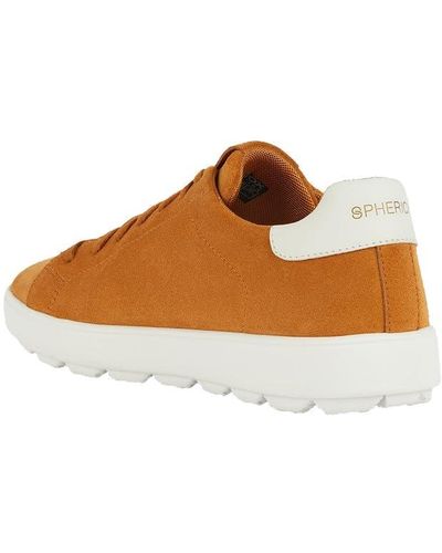 Geox 1 Uomo Ocra - Sneaker Low-Cut Uomo Stile - Marrone