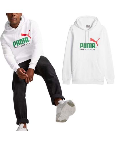 PUMA No. 1 Logo Celebration Hoodie Fl Sweatshirt - Metallic