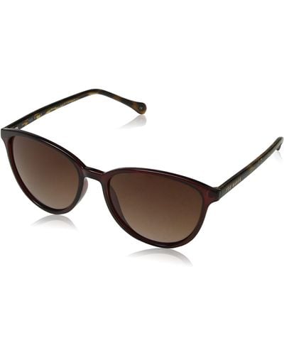 Ted Baker Tierney Sunglasses - Black