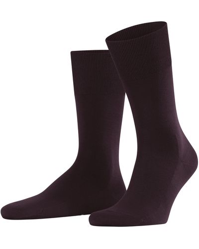 FALKE Socken Climate Wool - Lila