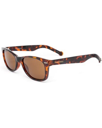 Converse Sco09152tort Sunglasses One Size - Brown