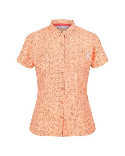 Regatta Mindano VI T-Shirt pour Papaya Daisy Taille 42 - Orange