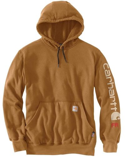 Carhartt Big & Tall Flame Resistant Force Loose Fit Midweight Hooded Logo Graphic Hoodie - Brown
