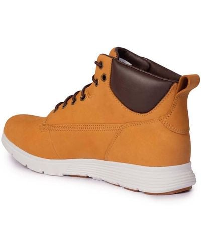 Timberland Top Trainers - Brown