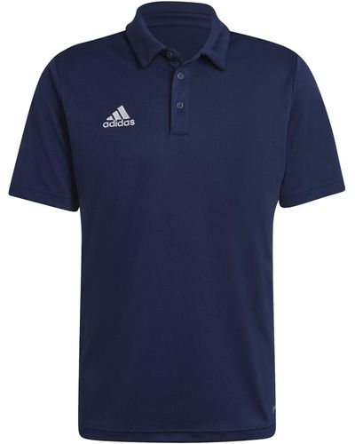 adidas , Ent22 Polo, Poloshirt, Team Navy Blue 2, L, Man - Blauw