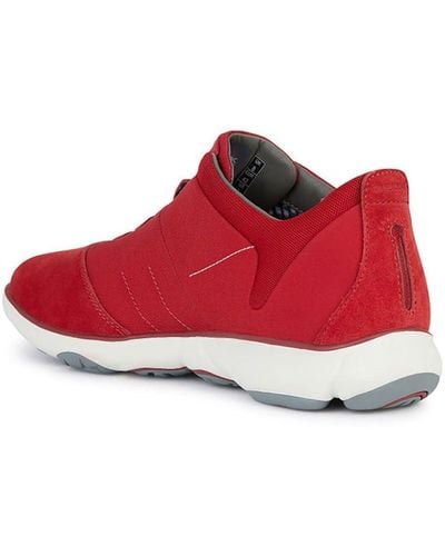 Geox U Nebula B Sneakers Voor - Rood