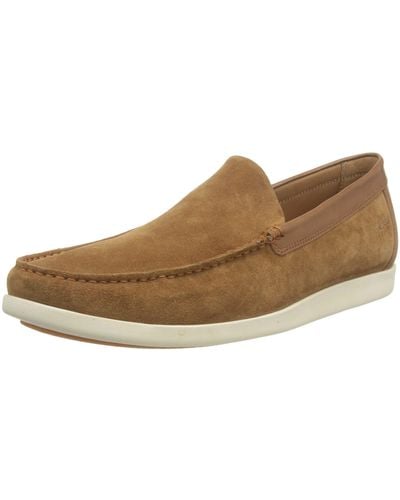 Clarks Ferius Creek - Bruin