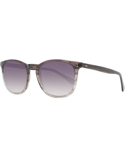 Hackett S0322264 Sunglasses - Purple